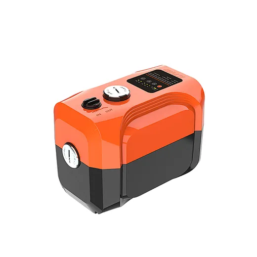 variable speed pump